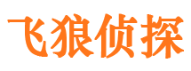 江汉外遇调查取证